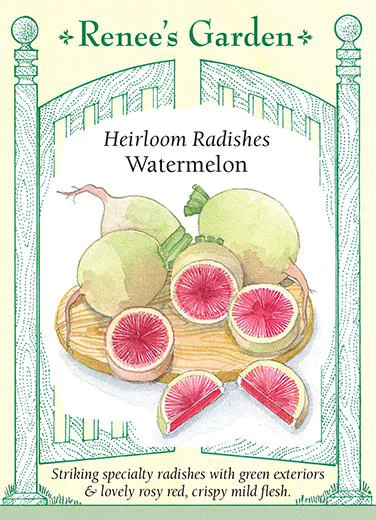 Renee's Garden Heirloom Radishes Watermelon
