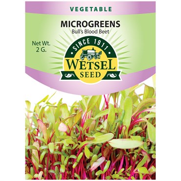 Wetsel Seed Microgreens Bull's Blood Beet Seed, 2 g
