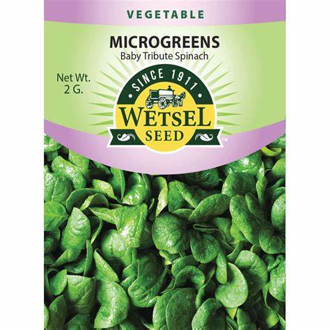 Wetsel Seed Microgreens Baby Tribute Spinach Seed, 2 g