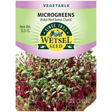 Wetsel Seed Microgreens Ruby Red Swiss Chard Seed