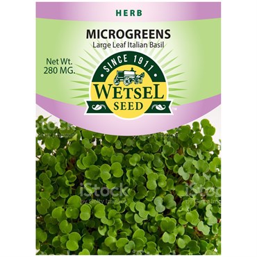 Wetsel Seed Microgreens Large Leaf Italian Basil Seed, 280 mg