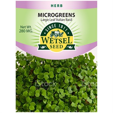 Wetsel Seed Microgreens Large Leaf Italian Basil Seed