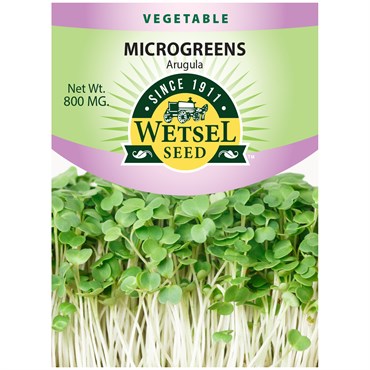 Wetsel Seed Microgreens Arugula Seed, 800 mg