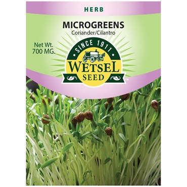 Wetsel Seed Microgreens Cilantro Coriander Seed, 700 mg