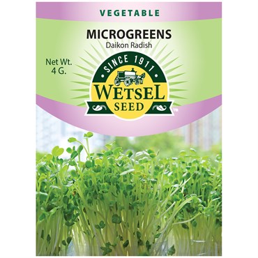 Wetsel Seed Microgreens Daikon Radish Seed