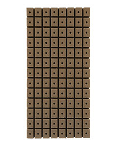 Oasis Flat, 1.25 in, 20-Pack