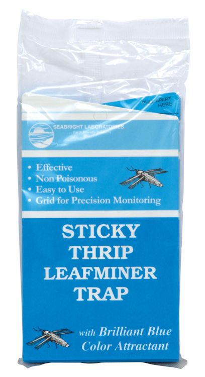 Seabright Laboratories Sticky Thrip Leafminer Trap