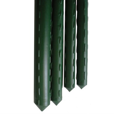 Gardener Select Standard-Duty Vinyl Steel Stake Green 10mm Diam, 3 ft