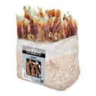 North Spore Organic Reishi Mushroom Grow Kit Fruiting Block