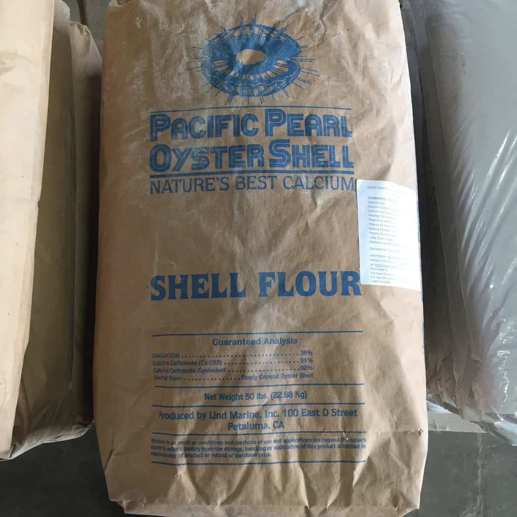 Pacific Pearl Oyster Shell, Flour