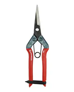 Chikamasa T-550 Carbon Steel Straight Scissors