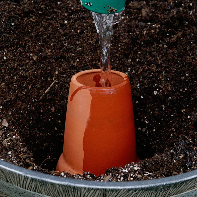 OLLA MEDIUM - 1.5 Quart