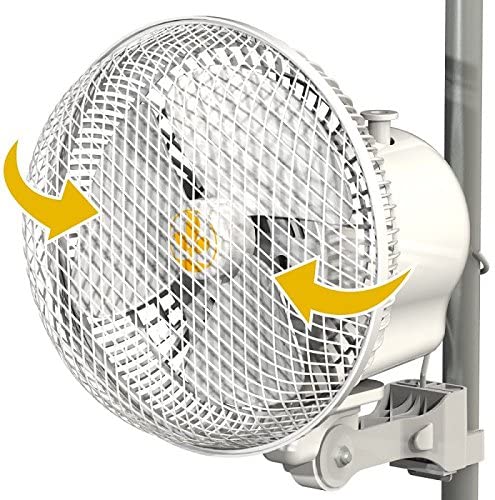 Monkey Fan Oscillating