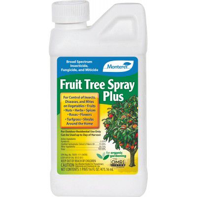 Monterey Fruit Tree Spray Plus Concentrate, 16 fl oz