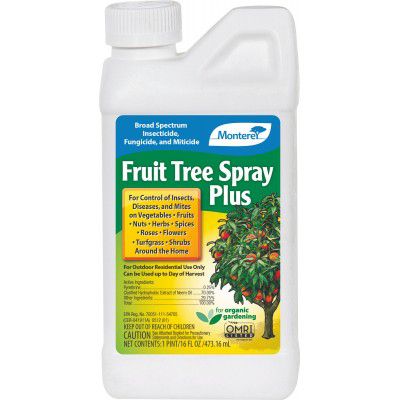 Monterey Fruit Tree Spray Plus Concentrate