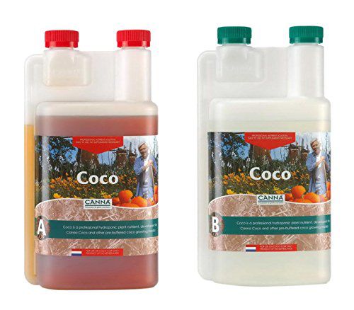 Canna Coco A&B