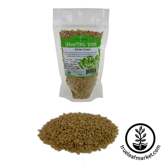 Handy Pantry Barley - Whole (Organic) - Grass Seeds, 8 oz