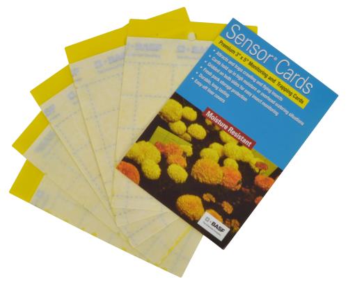 BASF Sensor Cards Yellow Monitoring and Trapping Cards, 50-Pack
