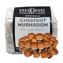 North Spore Organic Chestnut Mushroom Sawdust Spawn, 5.5 lb