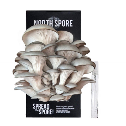 North Spore Organic Blue Oyster ‘Spray &amp; Grow’ Mushroom Growing Kit