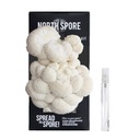 North Spore Organic Lion's Mane ‘Spray &amp; Grow’ Mushroom Growing Kit