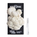 North Spore Organic Lion's Mane ‘Spray & Grow’ Mushroom Growing Kit