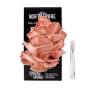 North Spore Organic Pink Oyster ‘Spray & Grow’ Mushroom Growing Kit