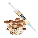 North Spore Liquid Culture Syringe Gourmet Mushrooms, 10 cc