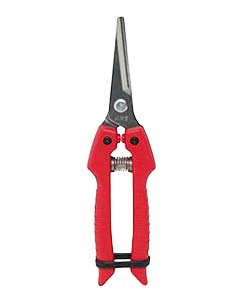 ARS SE-45 Stainless Steel Fruit Pruner