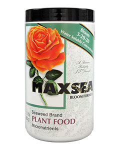 Maxsea Bloom Plant Food 3-20-20