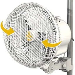 [601119V20] Monkey Fan Oscillating, 6 in, 20 Watt