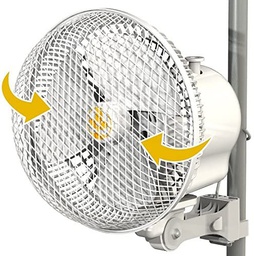 [601119V20] Monkey Fan Oscillating