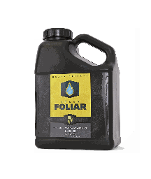 Heavy 16 Foliar