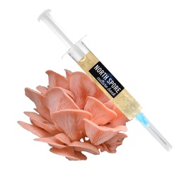 North Spore Liquid Culture Syringe Gourmet Mushrooms, 10 cc