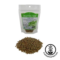 Handy Pantry Green Lentil - Organic - Sprouting Seeds