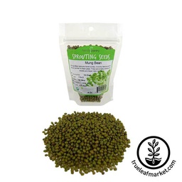 Handy Pantry Mung Bean - Organic - Sprouting Seeds