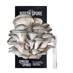 [S&amp;G-PO1] North Spore Organic Blue Oyster ‘Spray &amp; Grow’ Mushroom Growing Kit