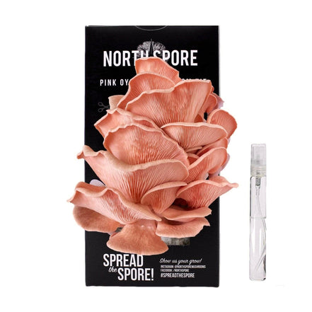 [S&G-PD1] North Spore Organic Pink Oyster ‘Spray & Grow’ Mushroom Growing Kit