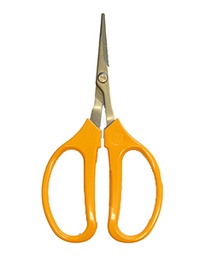 [662101] ARS Grape Scissors Angled