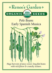 [5565] Renee's Garden Pole Beans Early Spanish Musica