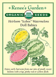 [3052] Renee's Garden Heirloom Watermelons Icebox Doll Babies