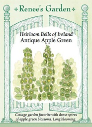 [5064] Renee's Garden Heirloom Bells of Ireland Antique Apple Green