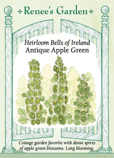 [5064] Renee's Garden Heirloom Bells of Ireland Antique Apple Green