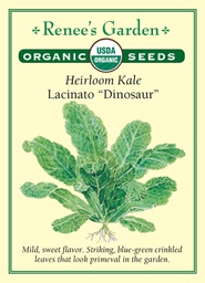 [3085] Renee's Garden Heirloom Kale Lacinato Dinosaur