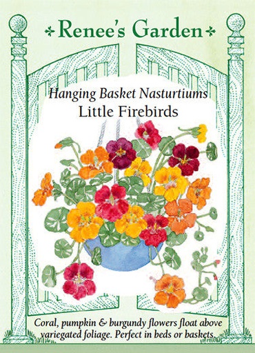 [5963] Renee's Garden Nasturtiums Hanging Basket Little Firebirds