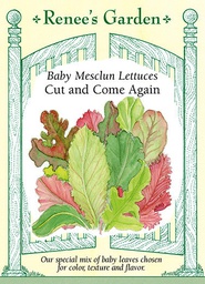 [5650] Renee's Garden Baby Mesclun Lettuces Cut and Come Again