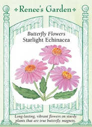 [5220] Renee's Garden Butterfly Flowers Starlight Echinacea