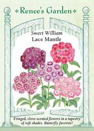 [5368] Renee's Garden Sweet William Lace Mantle