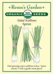 [3003] Renee's Garden Scallions Salad Sprint