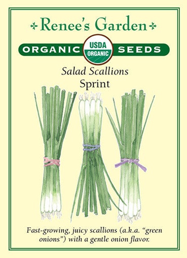 [3003] Renee's Garden Scallions Salad Sprint